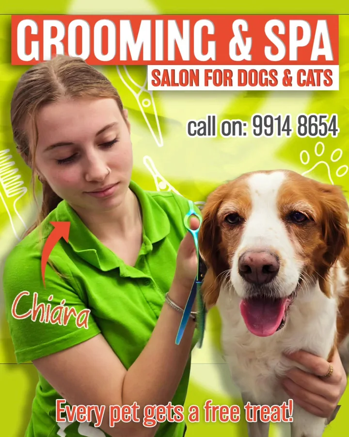 Apple4Pets grooming and spa post